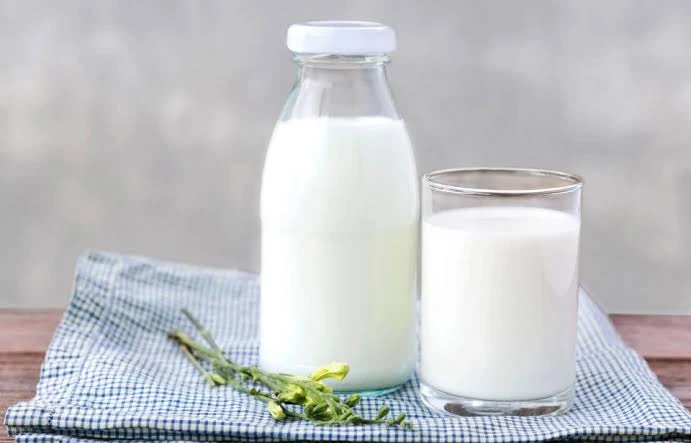 Best time to drink milk telugu morning or night