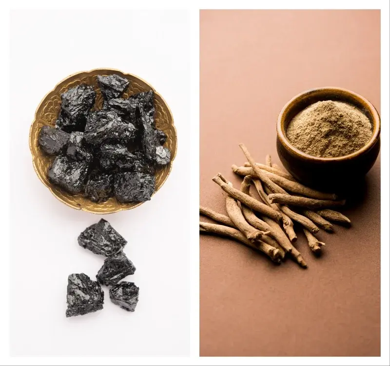 Shilajit and Ashwagandha together benefits in telugu