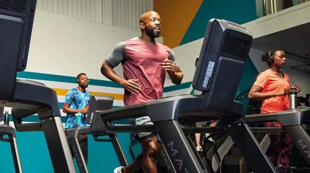 Does working out increase testosterone permanently